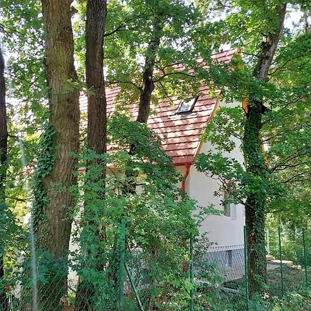 Szepiheno Holiday home Balatonszepezd